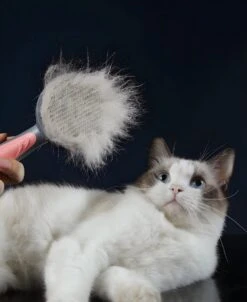 Pakeway T9 - Kattenborstel - Zelfreinigende Kattenkam - Roze - Massageborstel - 19,3 Cm 22 Pakeway T9 - Kattenborstel - Zelfreinigende Kattenkam - Roze - Massageborstel - 19,3 Cm -Hondenserie Winkel 983x1200 3