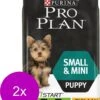 Pro Plan Dog Puppy Small & Mini Breed - Kip - Hondenvoer - 2 X 3 Kg 1 Pro Plan Dog Puppy Small & Mini Breed - Kip - Hondenvoer - 2 X 3 Kg -Hondenserie Winkel 984x1200