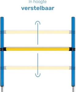 Agility Voor De Hond - 16 Delig - Agility Set - Hondentunnel - Horde - Slalom Palen - Honden Training Set - Honden Behendigheidsset - Agility Toestellen -Hondenserie Winkel 991x1200